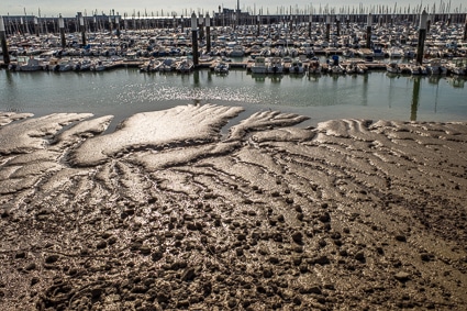Le Havre Marina and harbor bottom at low tide