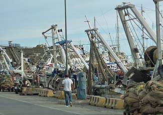 Fishing boats in Port of Civitavecchia