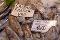 Calamari at the Rialto Fish Market