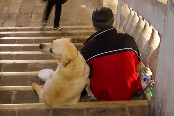 Man and dog on a Venice bridge.