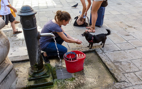 Dog at water fountain in Venice, Italy