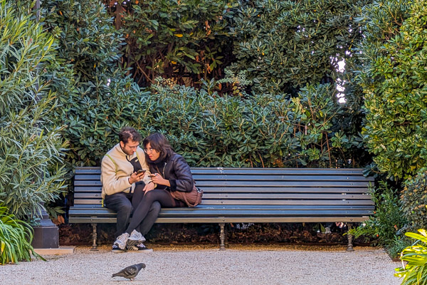 Park bench in Giardini ex-Reali, Venice, Italy.