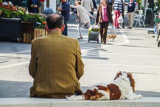 Man and dog in Lido shopping district